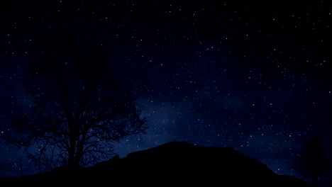 Zeitraffer-einer-sternenklaren-Nacht-mit-einem-Schatten-eines-Baumes-im-Vordergrund-und-mit-einem-Sternspur-Effekt
