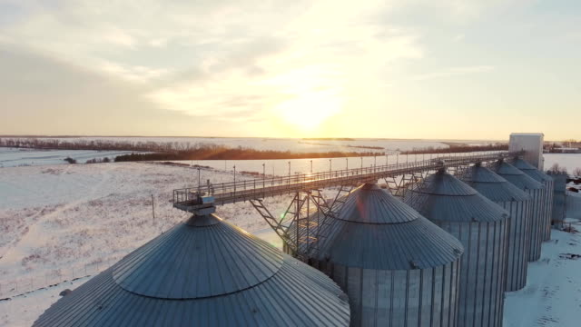 Tanque-de-almacenamiento-de-silos-de-grano-de-agricultura.-Ascensor-y-fábrica