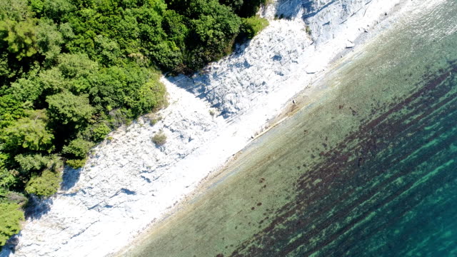 Luftaufnahme,-blaues-Meer-und-grüne-Wald.-Marine-Hintergrund.