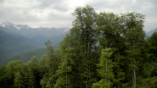 Vista-aérea-de-hermosa-montaña-y-hermoso-bosque