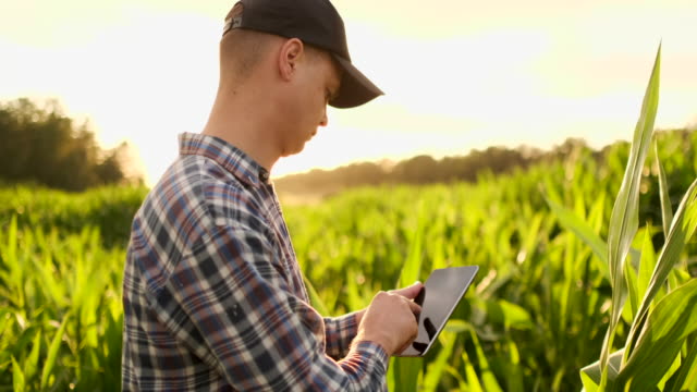 Landwirt-Agronom-mit-Tablet-Computer-in-nackten-leeren-Feld-in-Sonnenuntergang,-ernsthaft-zuversichtlich-Mann-mit-moderner-Technologie-in-der-landwirtschaftlichen-Produktionsplanung-und-Vorbereitung.