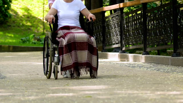 Volunteer-walking-with-disabled-patient-in-wheelchair-in-park,-rehabilitation