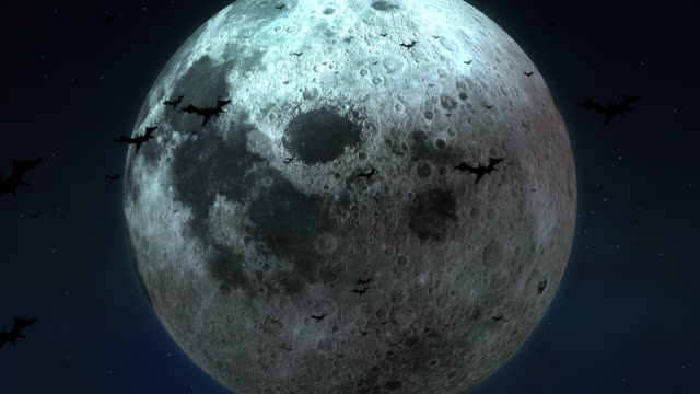 Luna-grande-y-murciélagos-en-la-medianoche-de-Halloween-[bucle]