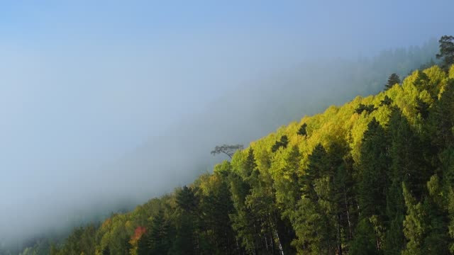 Mañana-brumosa-en-la-montaña-de-otoño.-Las-nubes-de-niebla-se-elevan-rápidamente-sobre-el-bosque.-Timelaps