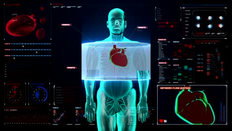 Front-body-scanning-heart.-Human-cardiovascular-system-in-digital-display.