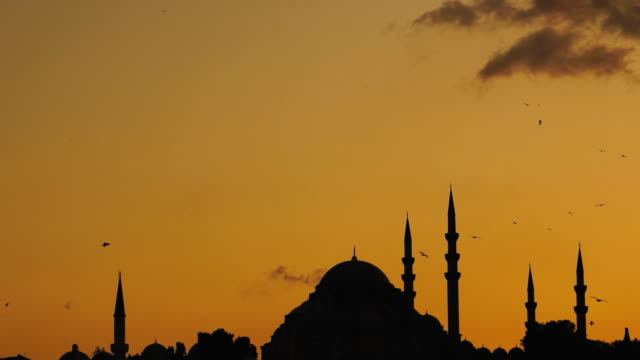 Vista-de-slowmotion-de-Mezquita-de-Süleymaniye-con-gaviotas-volando-alrededor-de-puesta-del-sol-del-Bósforo-en-Estambul,-Turquía