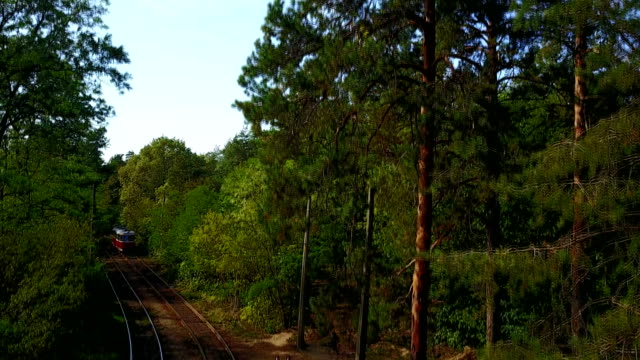 Die-Straßenbahn-fährt-mitten-im-grünen-Wald