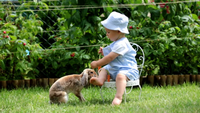 Cute-little-baby-boy,-child-feeding-little-bunny-with-carrots-in-park,-outdoors