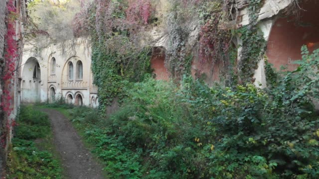 Abandoned-Fortifications,-Overgrown-with-Ivy,-Second-World-War