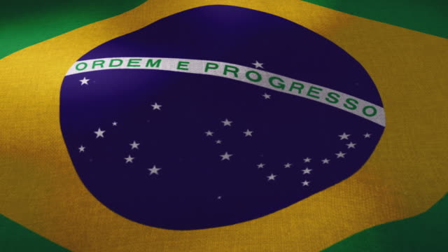 Nationalflagge-Brasilien---winken