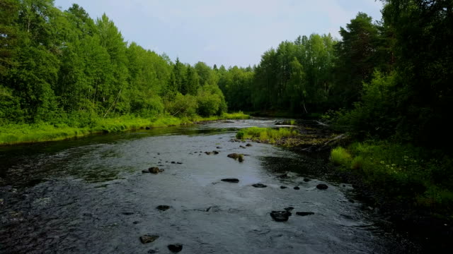 Volando-encima-del-río-bosque-rápido-en-Karelia,-Rusia