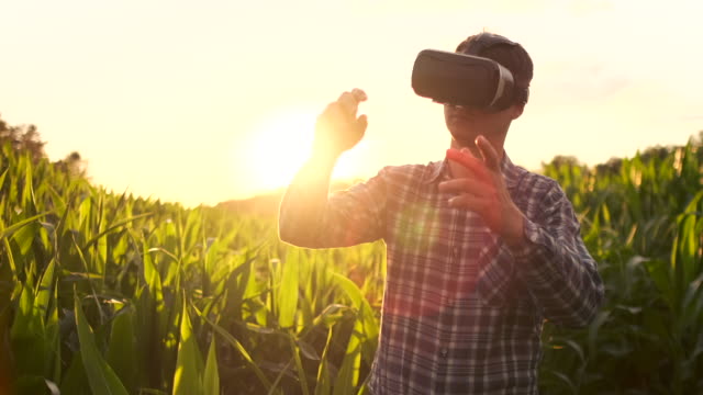 Future-farmer-uses-VR-glasses-to-manage-corn-plantations-and-control-the-quality-of-plants-at-sunset-in-the-field