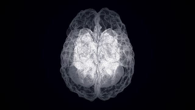 Holograma-del-cerebro-humano.-Cerebro-humano-hecho-de-formar-partículas-sobre-fondo-negro.-Animación-de-estilo-de-rayos-X