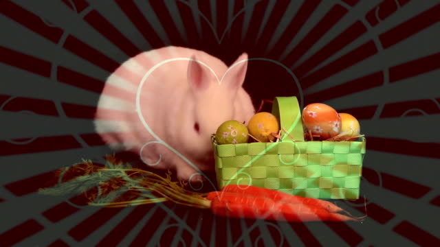 Kaninchen-und-Gemüse