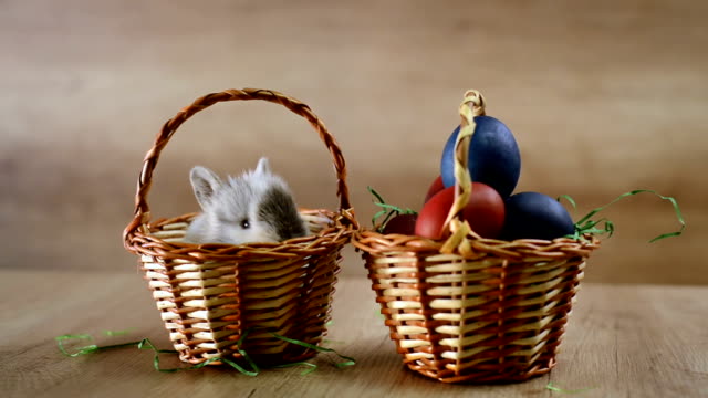 Easter-bunny-is-hiding-in-a-basket.-Happy-Easter