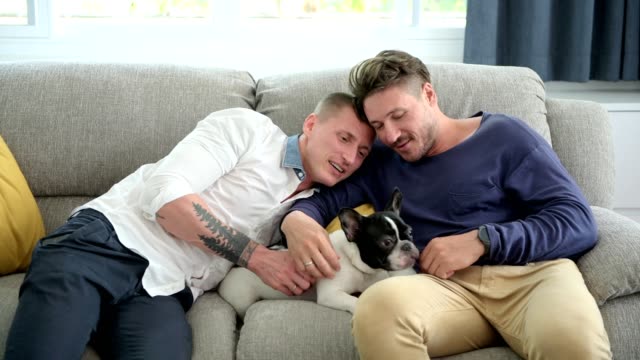 Schwules-Paar-entspannen-donerieren-auf-der-Couch-mit-Hund.-Reiben-Hund-kopf.