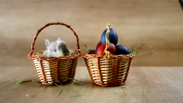 Cute-Easter-bunny-in-the-basket.-Happy-Easter