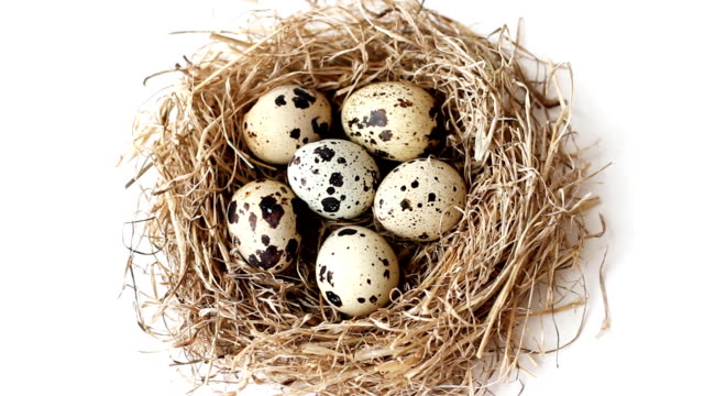 Quail-eggs-in-nest-from-straw-for-Easter