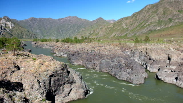 Teldykpen-rápidos-en-Altai-río-Katun-cerca-lila-amarillo,-Rusia