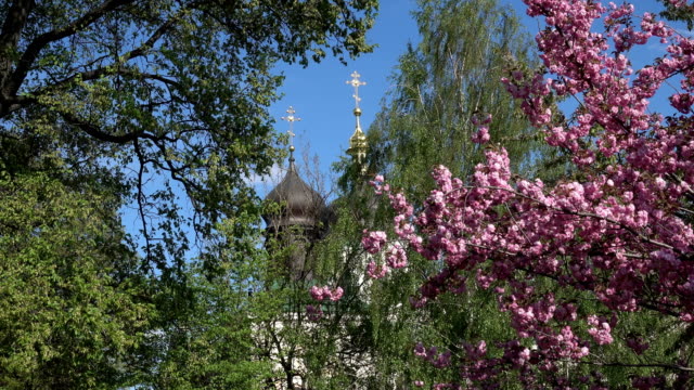 Orthodoxe-Kirche,-umgeben-von-blühenden-Bäumen-am-Ostersonntag