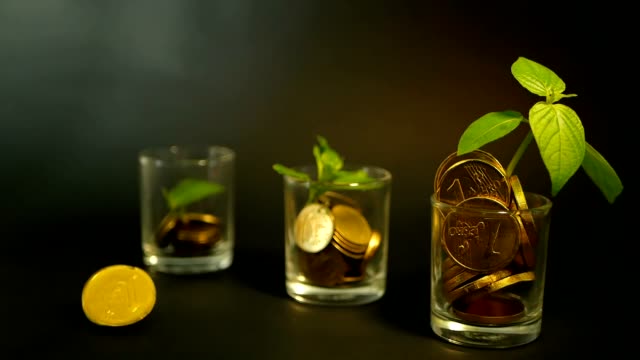 Golden-coins-in-glass-and-green-leaf-of-sprout-on-black-background.-Success-of-finance-business,-investment,-ideas.