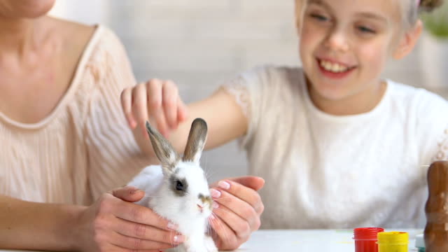 Tochter-und-Mutter-in-Stirnbänder-mit-Hasenohren,-kleine-weiße-Kaninchen-streicheln