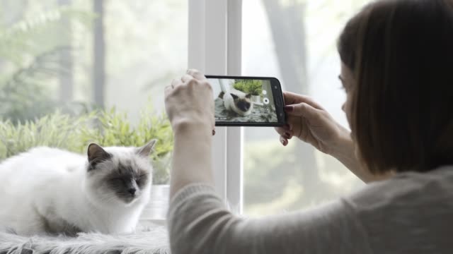 Woman-shooting-a-video-of-her-cute-cat