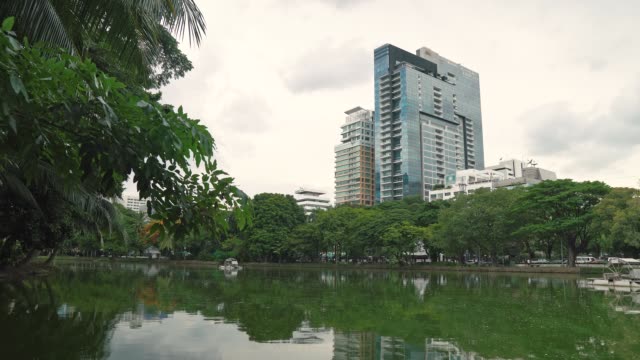 Un-gran-lago-en-el-parque-de-la-ciudad-en-el-centro-de-los-rascacielos-de-fondo.-Ramas-verdes-de-palmeras-y-árboles-doblados-bajo-al-agua