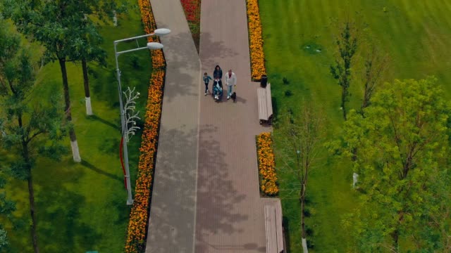 Familie-mit-einem-Sohn-im-Rollstuhl-geht-im-Park-spazieren.-Luftaufnahmevideo-vom-Copter.-Ansicht-von-oben.