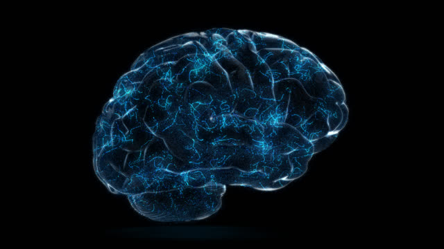 Human-Brain-Intelligence-mit-futuristischem-Konzept-für-künstliche-Intelligenz