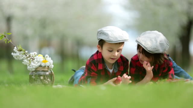Dos-niños,-hermanos,-leyendo-un-libro-y-comiendo-fresas-en-el-parque,-jardín-floreciente-de-primavera