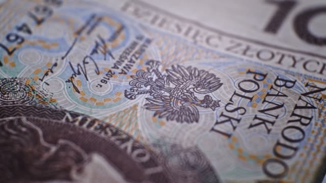 10-PLN-Deatails-CloseUp-EU-currency