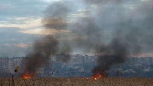 Astonishing-view-of-two-dense-flows-of-black-smoke-and-blaze-devouring-bulrush-cattails-on-the-Dnipro-riverbank-in-spring-in-slo-mo