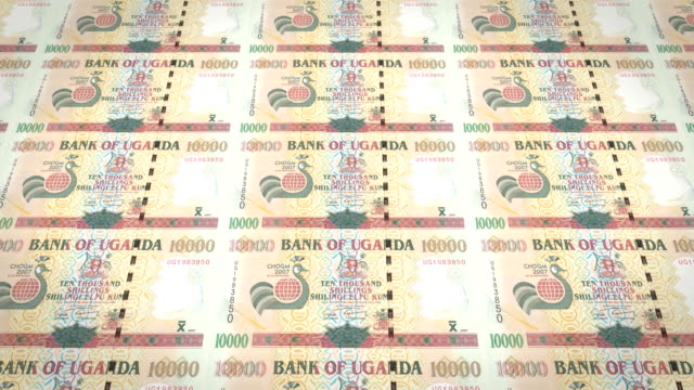 Banknoten-der-zehntausend-Uganda-Schilling-von-Uganda,-Bargeld,-Schleife