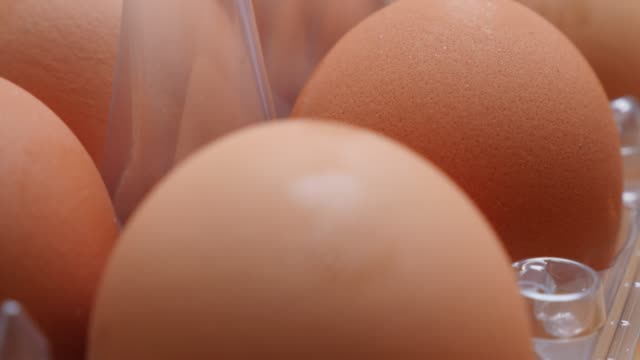 Huevera-plástico-con-gran-cantidad-de-huevos-orgánicos-en-la-fila-4K