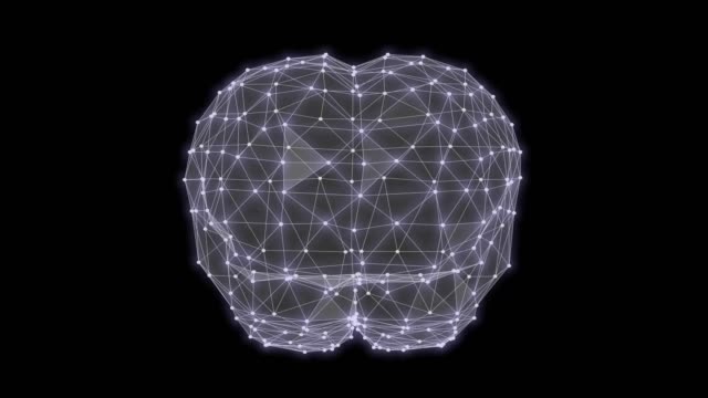 Human-brain-triangles-grid-rotation-3D-rendering