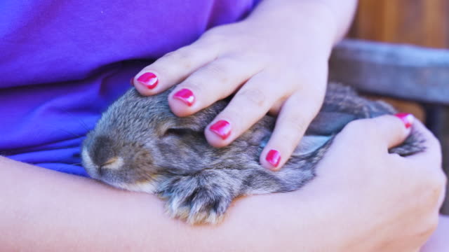 Concept-cute-beautiful-animals.-Bunny-in-the-hands-of-a-teenage-girl.-Livestock-and-farming,-rabbit-farm,-children-and-animals,-summer-vacation.-Contact-zoo-with-bunny-and-pets.-Close-up.