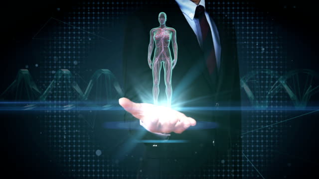 Businessman-open-palm,-Rotating-Female-Human-cardiovascular-system,-blood-system.