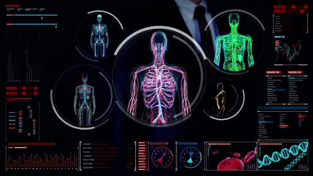 Hombre-de-negocios-tocando-la-pantalla-digital,-escaneando-vasos-sanguíneos,-linfático,-sistema-circulatorio