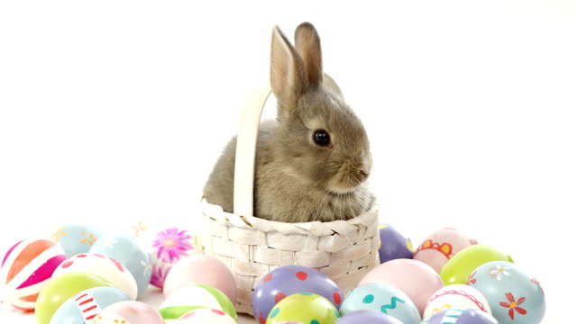 Easter-eggs-and-Easter-bunny-in-wicker-basket