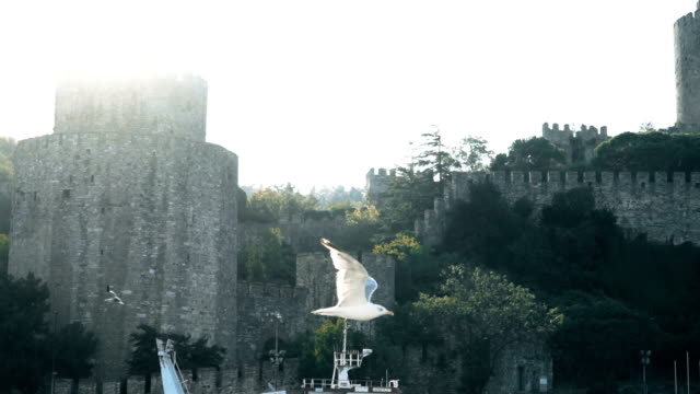 Slowmotion-de-gaviota-volando-cerca-de-fortaleza-de-Istanbul-famoso-en-Bosphorus