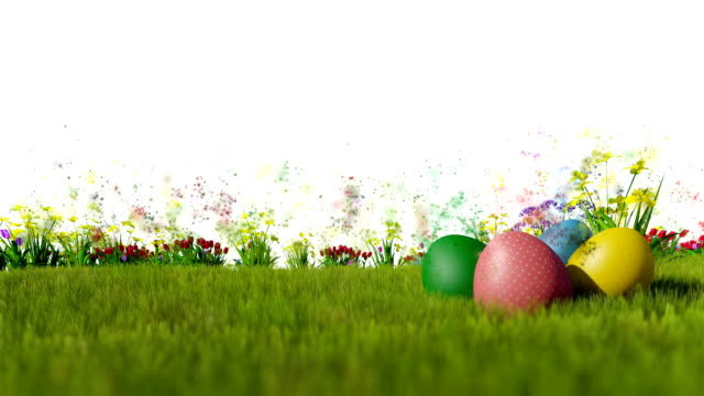 Huevos-de-Pascua-en-el-prado-verde-con-partículas-volando-contra-blanco