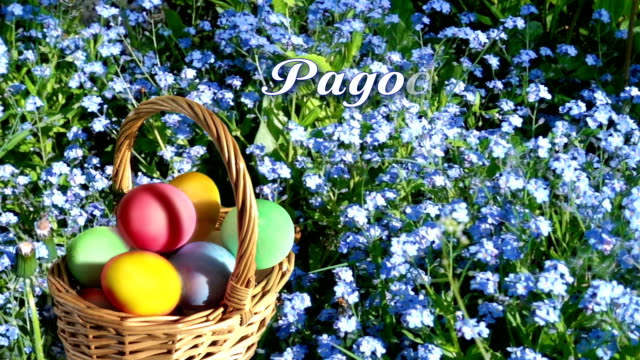 Easter-basket--among-the-spring-flowers.-Congratulatory-text