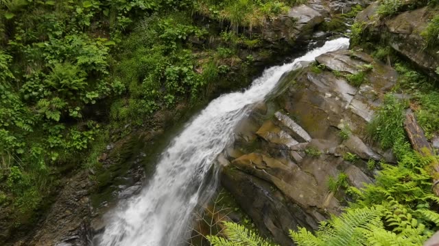 Slowmotion-Waterfalling-im-Bergwald