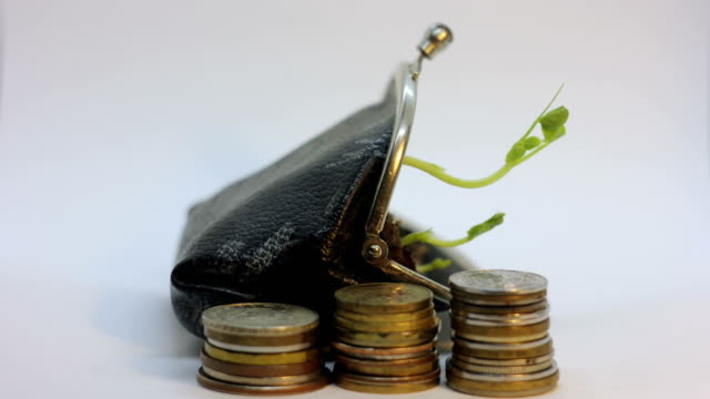 Goldene-Münzen-und-Geldbeutel-mit-jungen-Pflanzen-wachsen-und-sterben.-Das-Geldwachstum-steigert-das-Konzept-und-den-fallenden-Markt.-Thema-Unternehmensfinanzierung.