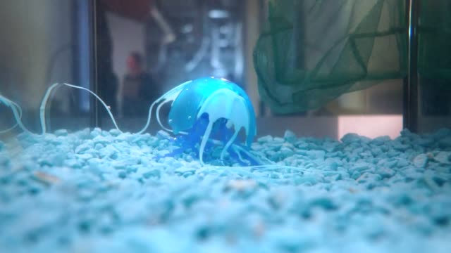Juguete-de-medusas-robot-submarino-para-niños