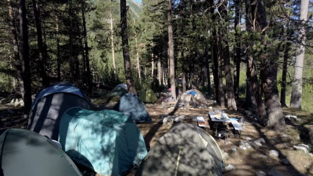 Camping-Zelt-im-Sommer-Wald-beim-Reisen-und-Wandern-wilder-Natur-Drohne-Ansicht