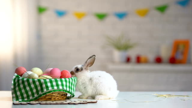 Cesta-de-huevos-coloridos-con-lindo-conejo-de-Pascua-en-la-mesa,-saludo-de-vacaciones,-animales
