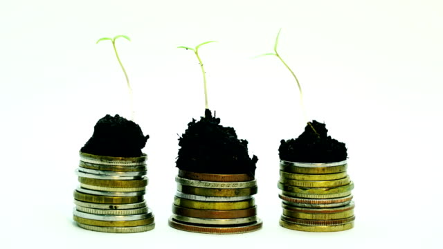 Goldene-Münzen-im-Boden-mit-junger-Pflanze.-Geldwachstum-erhöhen-Konzept.