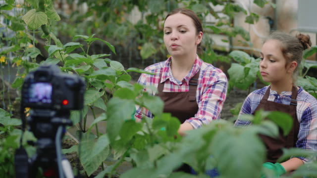 Family-gardeners-in-a-greenhouse-record-a-video-about-gardening